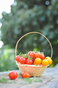 Close-up of cherry tomatoes in wicker basket on table