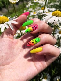 Close-up of hand holding flower