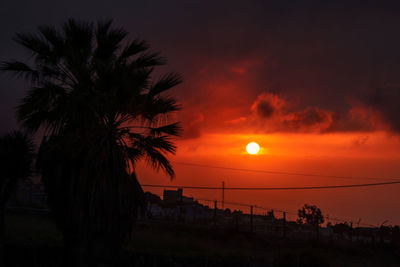 Silhouette palm trees against sky during sunset