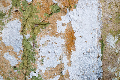 Close-up of peeled wall