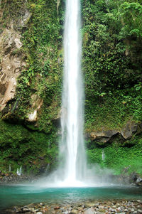 Scenic view of waterfall