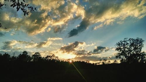 Silhouette of trees against cloudy sky