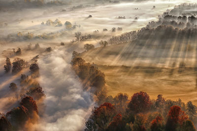 Aerial view of trees on landscape against sky