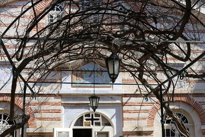 Low angle view of bare trees against building