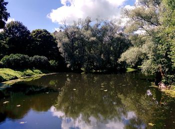 Trees by lake in forest against sky