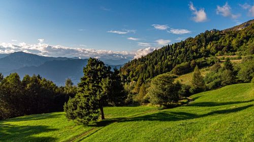 Scenic view of green landscape against sky