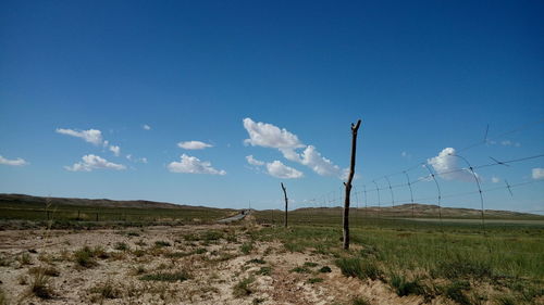 Scenic view of landscape against clear sky