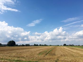 Scenic view of agricultural field against cloudy sky