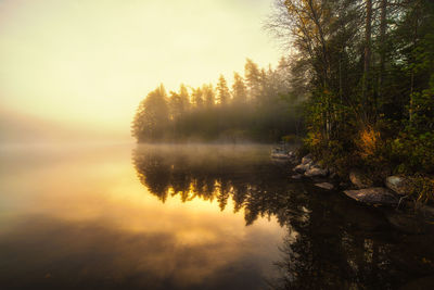 Reflection of trees on water against sky