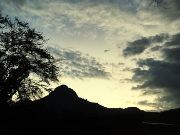 Low angle view of silhouette trees against sky