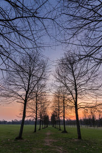 Silhouette bare trees on field against sky during sunset