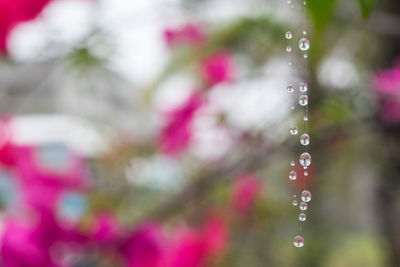 Close-up of defocused lights