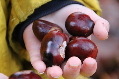 Close-up of hand holding fruit