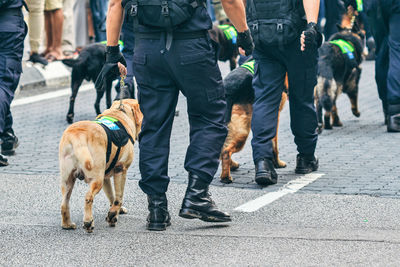 Low section rear view of police men walking with dogs on footpath