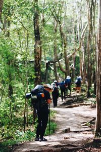 Rear view of man photographing in forest