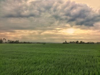 Scenic view of agricultural field against dramatic sky