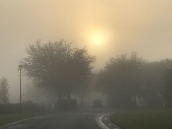 Trees on landscape against sky during foggy weather