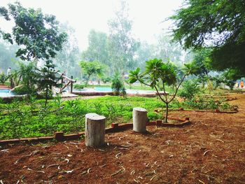 Plants and trees on field against sky