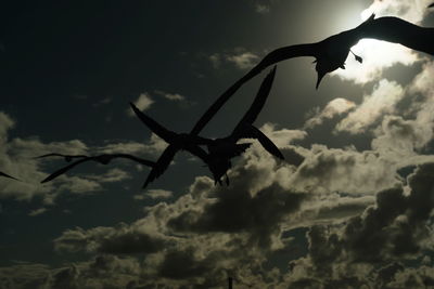 Silhouette horse against sky