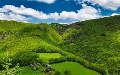 Scenic view of green landscape against sky