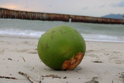 Close-up of apple on beach