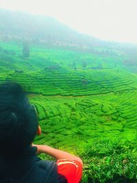 Rear view of woman working on agricultural field against sky