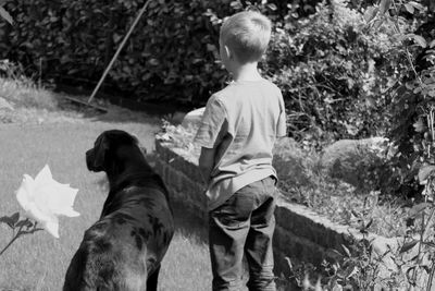 Rear view of boy with dog outdoors