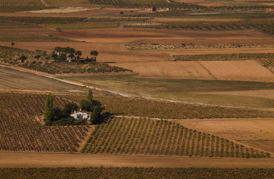 Aerial view of a country houses in agricultural field in castilla la mancha, spain