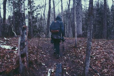 Rear view of person in forest