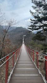 Rear view of man walking on footbridge