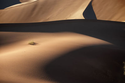 Sand dunes in desert