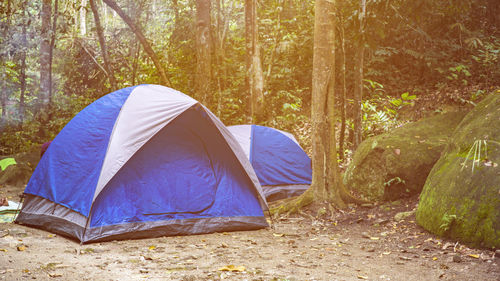 Tent in forest