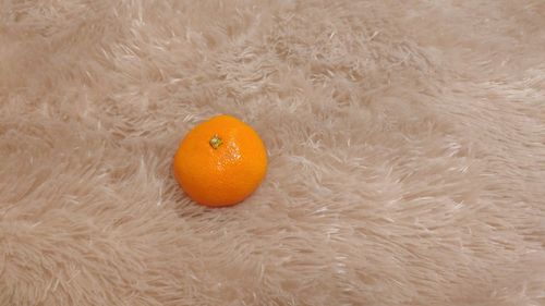 High angle view of orange fruit