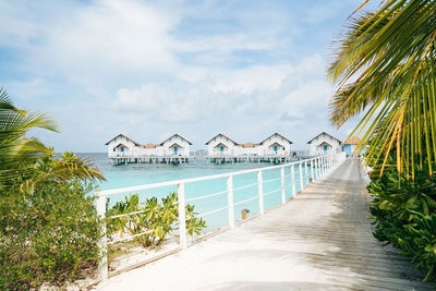 Panoramic shot of palm trees by sea against sky