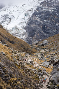 Scenic view of snowcapped mountains