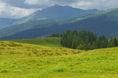 Scenic view of landscape and mountains against sky