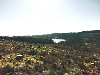 Scenic view of landscape against clear sky