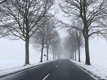 Bare trees on snow covered landscape