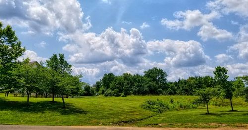 Panoramic view of trees on field against sky