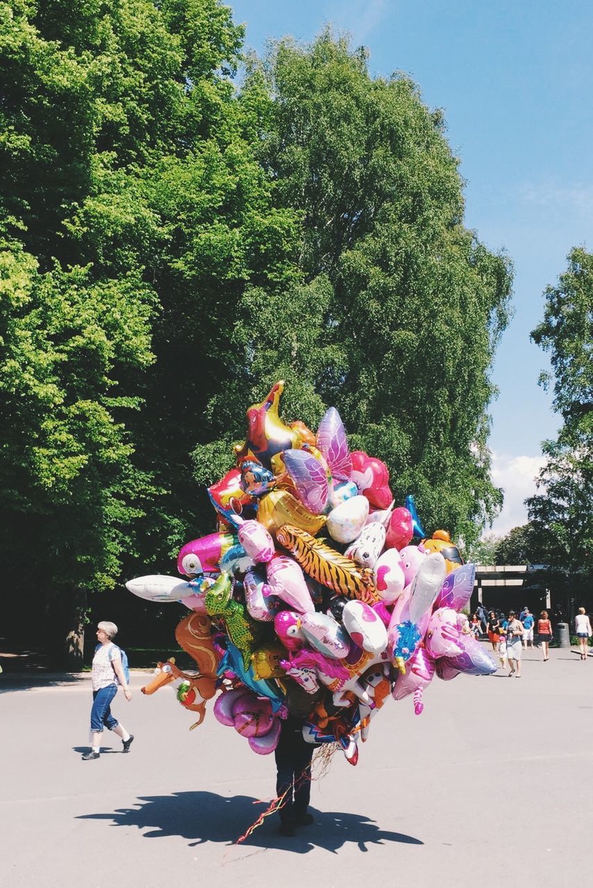 tree, flower, growth, park - man made space, sunlight, freshness, person, nature, pink color, beauty in nature, day, sky, outdoors, large group of people, leisure activity, lifestyles, fragility, incidental people, blooming