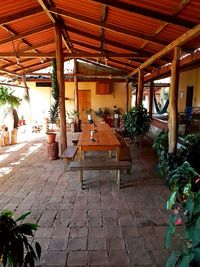 Chairs and table against plants