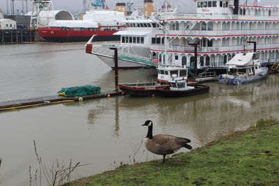 Boats moored at harbor