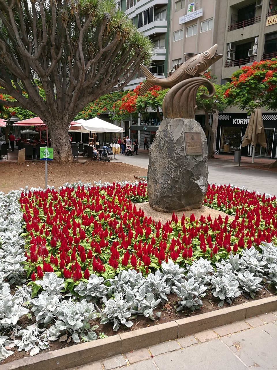 architecture, flower, built structure, building exterior, city, freshness, growth, variation, outdoors, red, multi colored, day, abundance, flowerbed, retail, large group of objects, hedge, vibrant color