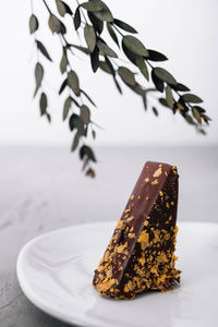 Close-up of cake on white background