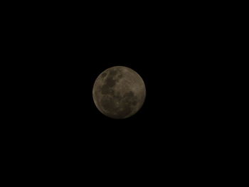 Low angle view of moon in sky