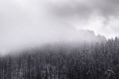 Scenic view of snow covered land against sky