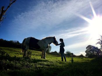 Low angle view of silhouette woman standing with horse on grassy field