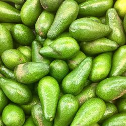 Full frame shot of avocados for sale