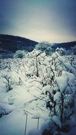 Scenic view of snow field against clear sky