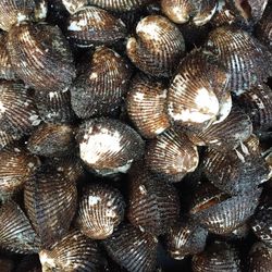 Full frame shot of white background